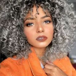 Wholesale 🔔 AISI HAIR Store AISI HAIR Gray Curly Wig For 👩 Women Synthetic Mixed Wig With Bangs For Black 👩 Women Hair Heat Resistant Shoulder Length Kinky Afro Curly Wig 🔥