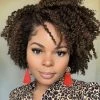 Top 10 ✨ Hanne Fashion Short Kinky Curly Wigs Ombre Brown Side Part Wig Afro Curly Wig Heat Resistant Fiber Synthetic Full Wigs For Black 👩 Women (1B 30#) ❤️