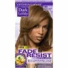 Buy 😍 Dark & Lovely Color #380 Chestnut Blonde (Pack Of 3) 🔥